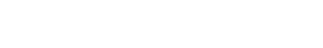 Partner 6
