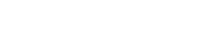 Partner 5